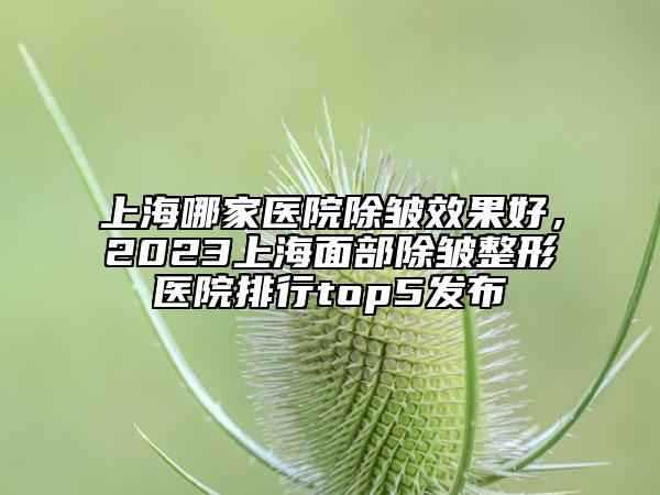 上海哪家醫(yī)院除皺效果好，2023上海面部除皺整形醫(yī)院排行top5發(fā)布