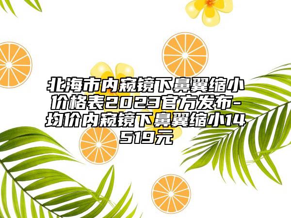 北海市內窺鏡下鼻翼縮小價格表2023官方發(fā)布-均價內窺鏡下鼻翼縮小14519元