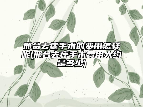 邢臺去痣手術(shù)的費(fèi)用怎樣呢(邢臺去痣手術(shù)費(fèi)用大約是多少)