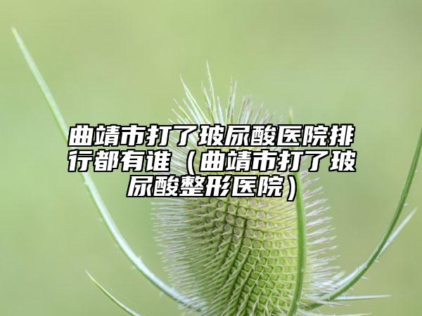 曲靖市打了玻尿酸醫(yī)院排行都有誰（曲靖市打了玻尿酸整形醫(yī)院）