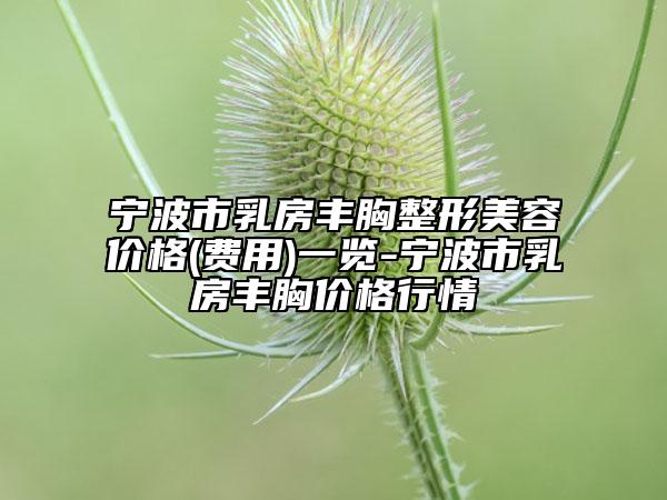 寧波市乳房豐胸整形美容價格(費用)一覽-寧波市乳房豐胸價格行情