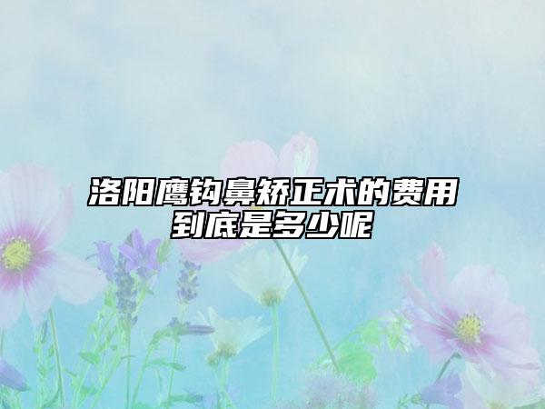 洛陽鷹鉤鼻矯正術(shù)的費(fèi)用到底是多少呢