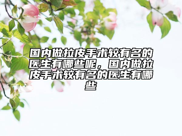 國內(nèi)做拉皮手術(shù)較有名的醫(yī)生有哪些呢，國內(nèi)做拉皮手術(shù)較有名的醫(yī)生有哪些