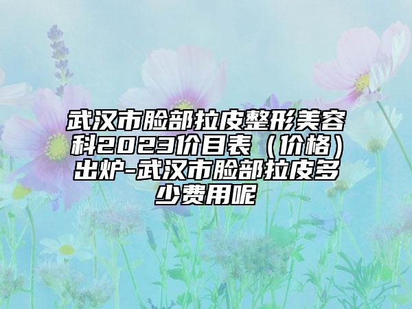 武漢市臉部拉皮整形美容科2023價(jià)目表（價(jià)格）出爐-武漢市臉部拉皮多少費(fèi)用呢