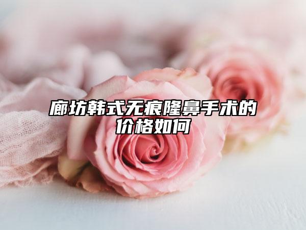 廊坊韓式無痕隆鼻手術(shù)的價格如何