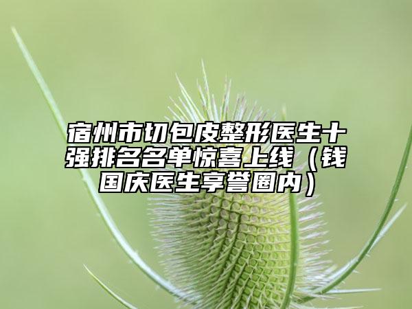 宿州市切包皮整形醫(yī)生十強(qiáng)排名名單驚喜上線（錢(qián)國(guó)慶醫(yī)生享譽(yù)圈內(nèi)）