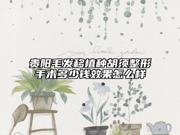 貴陽(yáng)毛發(fā)移植種胡須整形手術(shù)多少錢(qián)效果怎么樣