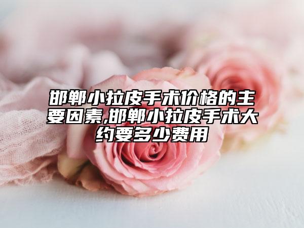 邯鄲小拉皮手術(shù)價格的主要因素,邯鄲小拉皮手術(shù)大約要多少費用