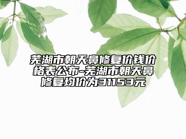 蕪湖市朝天鼻修復(fù)價錢價格表公布-蕪湖市朝天鼻修復(fù)均價為31153元