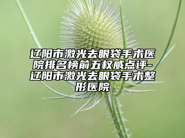 遼陽市激光去眼袋手術(shù)醫(yī)院排名榜前五權(quán)威點評-遼陽市激光去眼袋手術(shù)整形醫(yī)院