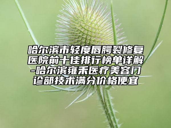 哈爾濱市輕度唇腭裂修復(fù)醫(yī)院前十佳排行榜單詳解-哈爾濱雍禾醫(yī)療美容門(mén)診部技術(shù)滿(mǎn)分價(jià)格便宜