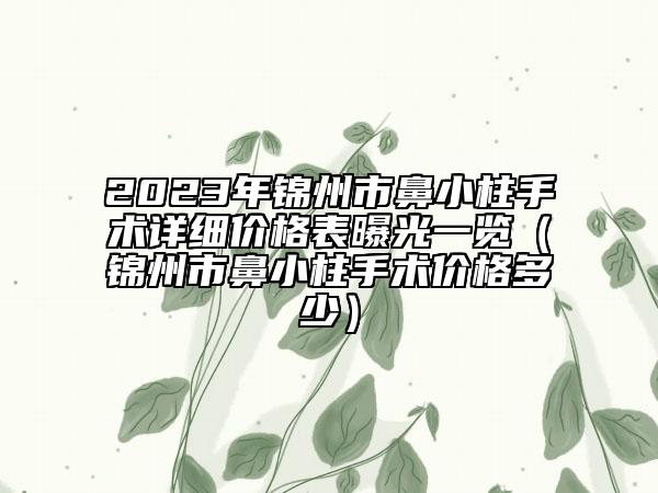 2023年錦州市鼻小柱手術(shù)詳細(xì)價格表曝光一覽（錦州市鼻小柱手術(shù)價格多少）