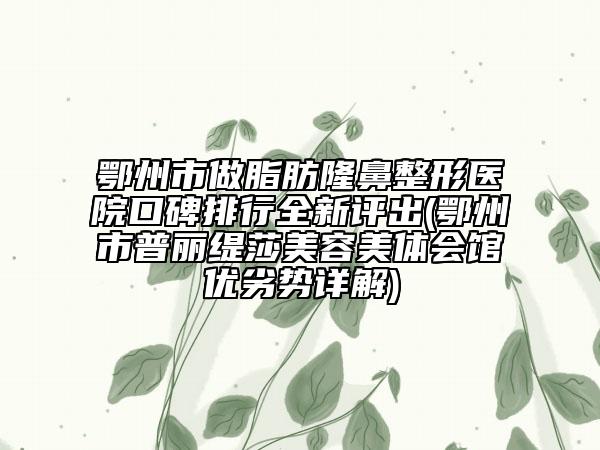 鄂州市做脂肪隆鼻整形醫(yī)院口碑排行全新評出(鄂州市普麗緹莎美容美體會館優(yōu)劣勢詳解)