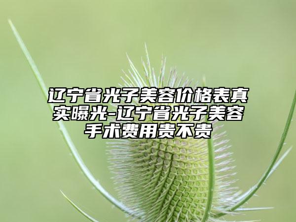 遼寧省光子美容價(jià)格表真實(shí)曝光-遼寧省光子美容手術(shù)費(fèi)用貴不貴