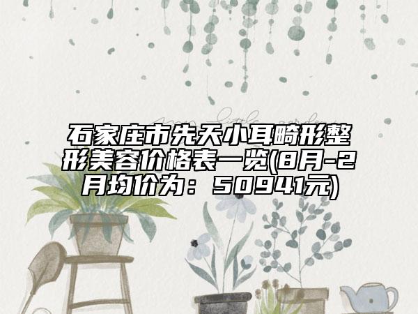 石家莊市先天小耳畸形整形美容價(jià)格表一覽(8月-2月均價(jià)為：50941元)