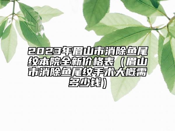 2023年眉山市消除魚(yú)尾紋本院全新價(jià)格表（眉山市消除魚(yú)尾紋手術(shù)大概需多少錢(qián)）