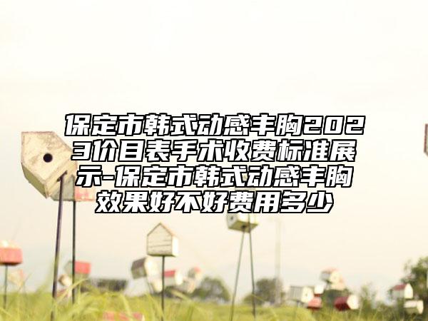 保定市韓式動感豐胸2023價目表手術(shù)收費標(biāo)準(zhǔn)展示-保定市韓式動感豐胸效果好不好費用多少