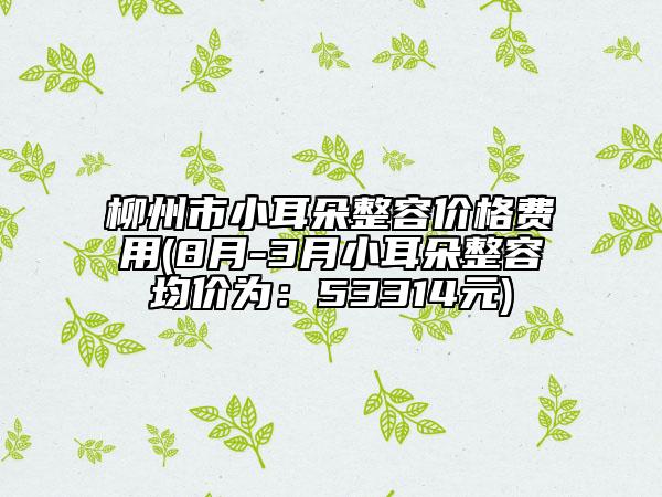 柳州市小耳朵整容價格費(fèi)用(8月-3月小耳朵整容均價為：53314元)