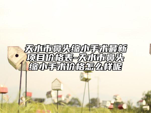 天水市鼻頭縮小手術(shù)最新項(xiàng)目價格表-天水市鼻頭縮小手術(shù)價格怎么樣呢