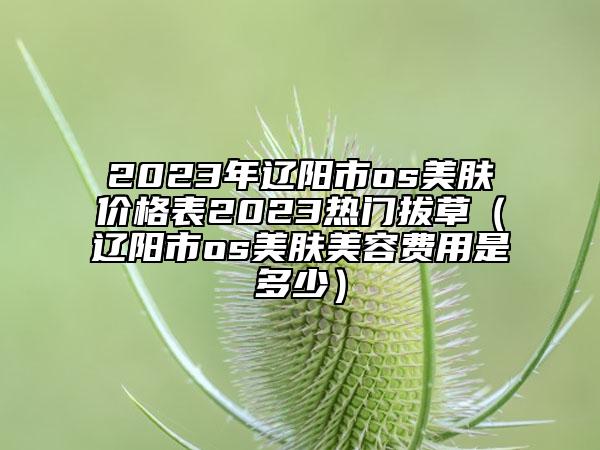 2023年遼陽市os美膚價格表2023熱門拔草（遼陽市os美膚美容費用是多少）