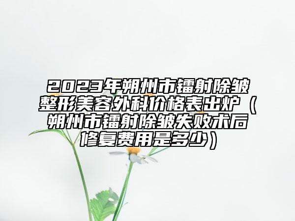 2023年朔州市鐳射除皺整形美容外科價格表出爐（朔州市鐳射除皺失敗術(shù)后修復(fù)費用是多少）