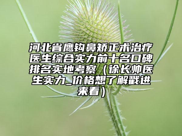 河北省鷹鉤鼻矯正術治療醫(yī)生綜合實力前十名口碑排名實地考察（徐長帥醫(yī)生實力_價格想了解戳進來看）