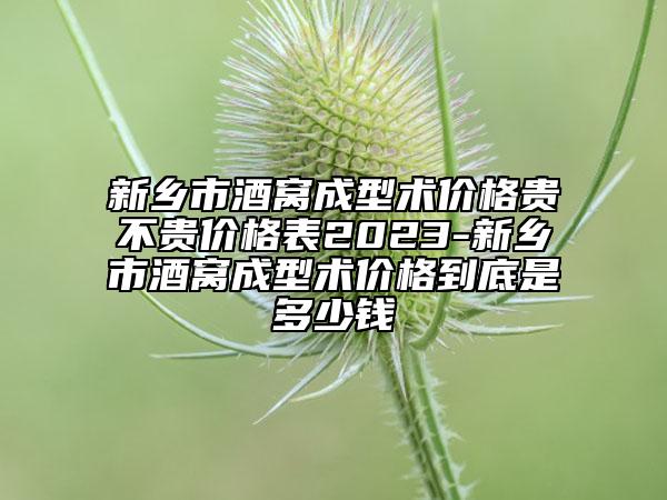 新鄉(xiāng)市酒窩成型術(shù)價(jià)格貴不貴價(jià)格表2023-新鄉(xiāng)市酒窩成型術(shù)價(jià)格到底是多少錢