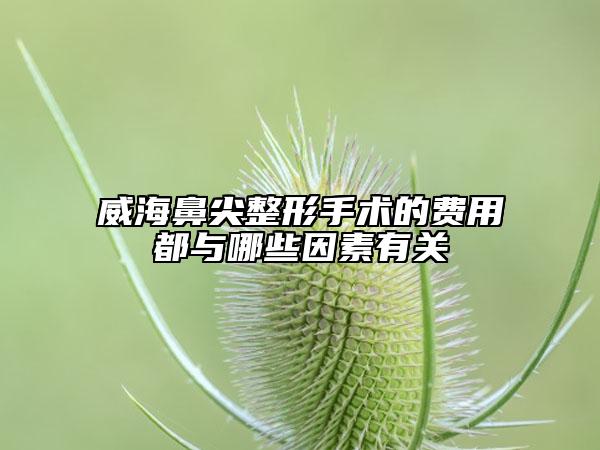 威海鼻尖整形手術(shù)的費(fèi)用都與哪些因素有關(guān)