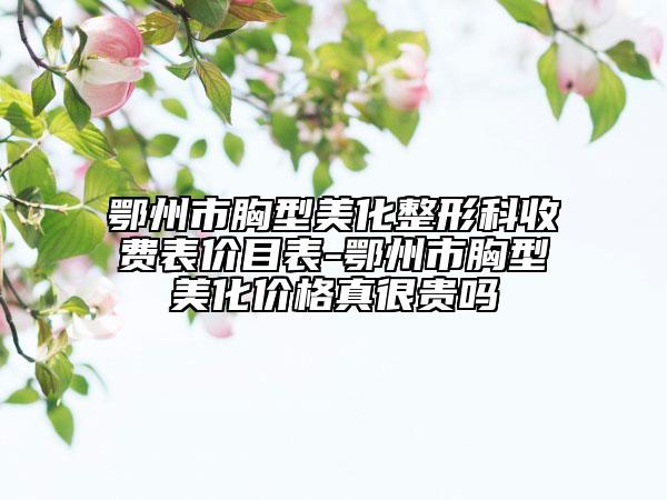 鄂州市胸型美化整形科收費(fèi)表價(jià)目表-鄂州市胸型美化價(jià)格真很貴嗎