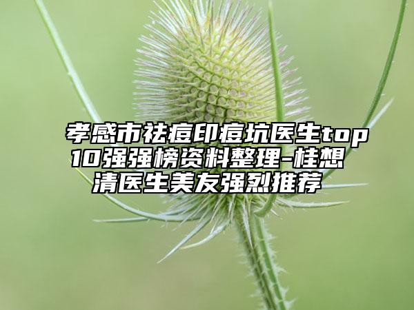 孝感市祛痘印痘坑醫(yī)生top10強(qiáng)強(qiáng)榜資料整理-桂想清醫(yī)生美友強(qiáng)烈推薦