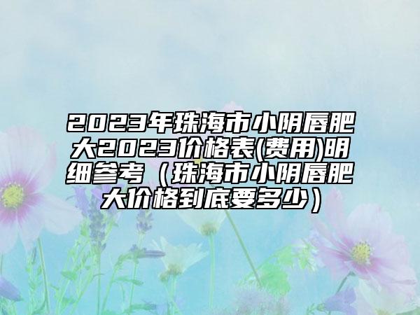 2023年珠海市小陰唇肥大2023價(jià)格表(費(fèi)用)明細(xì)參考（珠海市小陰唇肥大價(jià)格到底要多少）
