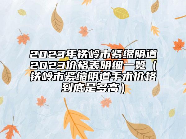 2023年鐵嶺市緊縮陰道2023價(jià)格表明細(xì)一覽（鐵嶺市緊縮陰道手術(shù)價(jià)格到底是多高）