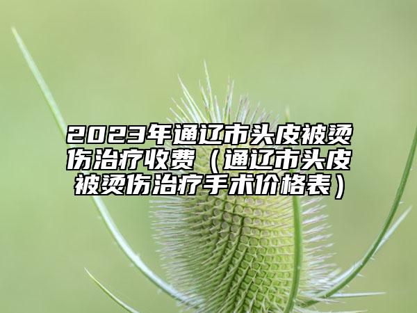 2023年通遼市頭皮被燙傷治療收費(fèi)（通遼市頭皮被燙傷治療手術(shù)價(jià)格表）