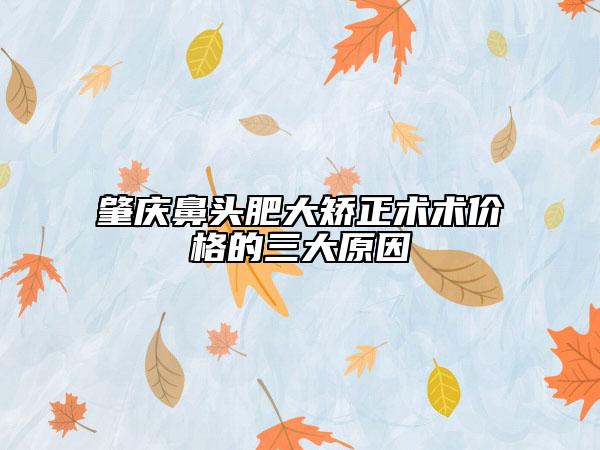 肇慶鼻頭肥大矯正術術價格的三大原因