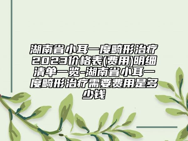 湖南省小耳一度畸形治療2023價格表(費用)明細清單一覽-湖南省小耳一度畸形治療需要費用是多少錢