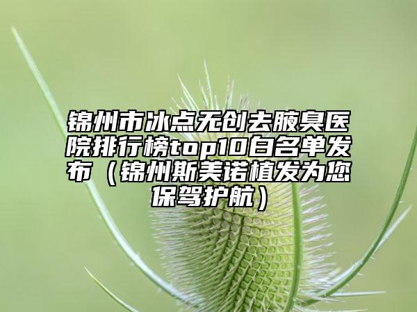 錦州市冰點無創(chuàng)去腋臭醫(yī)院排行榜top10白名單發(fā)布（錦州斯美諾植發(fā)為您保駕護航）