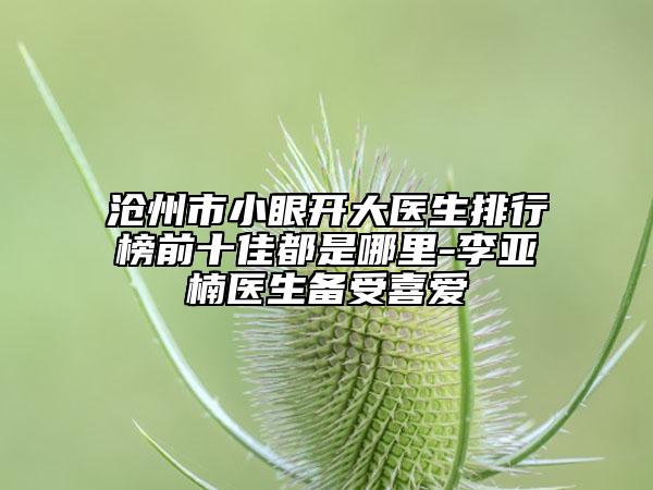 滄州市小眼開大醫(yī)生排行榜前十佳都是哪里-李亞楠醫(yī)生備受喜愛
