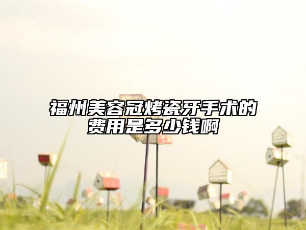 福州美容冠烤瓷牙手術(shù)的費用是多少錢啊