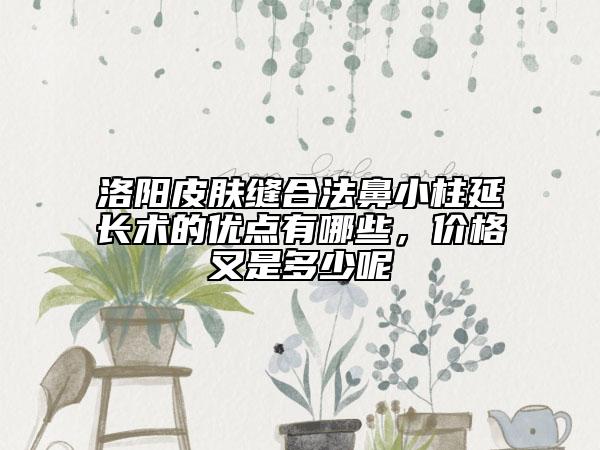 洛陽皮膚縫合法鼻小柱延長術的優(yōu)點有哪些，價格又是多少呢