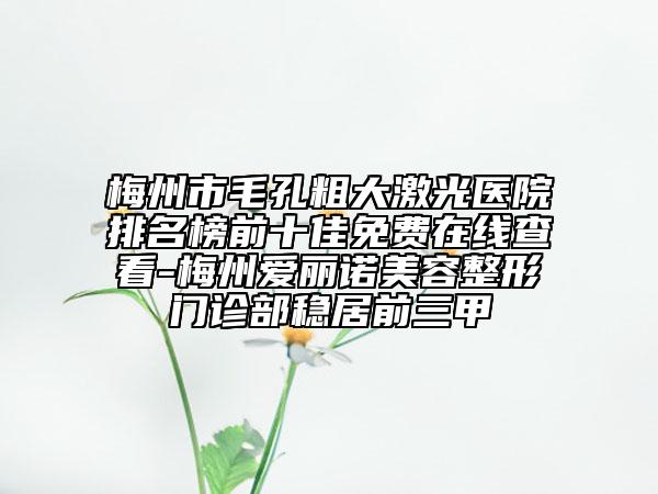 梅州市毛孔粗大激光醫(yī)院排名榜前十佳免費(fèi)在線查看-梅州愛麗諾美容整形門診部穩(wěn)居前三甲