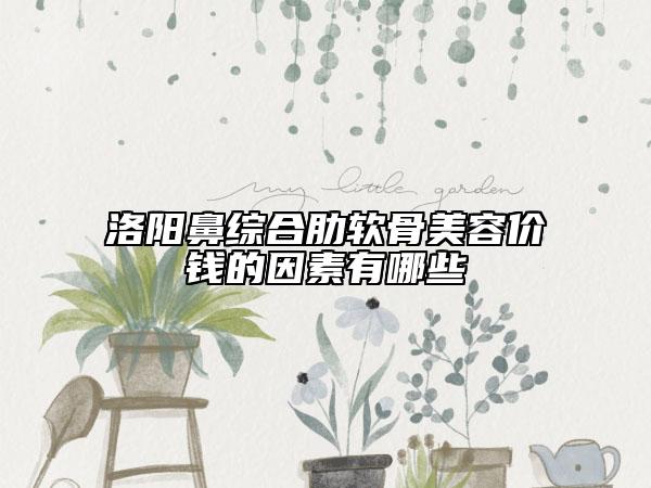 洛陽(yáng)鼻綜合肋軟骨美容價(jià)錢的因素有哪些