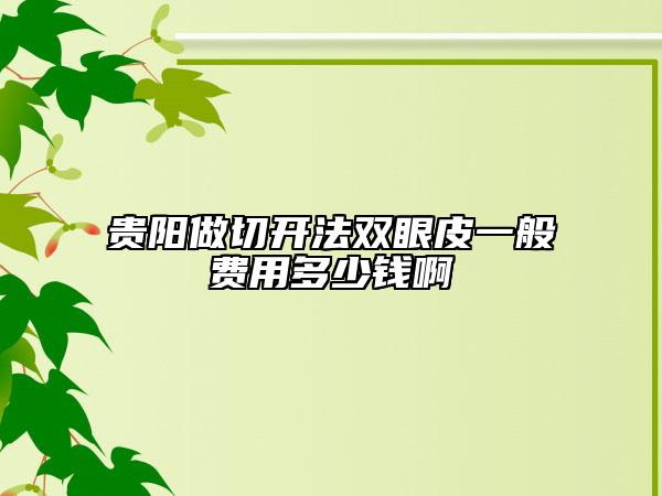 貴陽做切開法雙眼皮一般費用多少錢啊