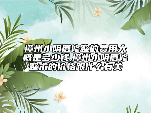 漳州小陰唇修整的費(fèi)用大概是多少錢,漳州小陰唇修整術(shù)的價(jià)格跟什么有關(guān)