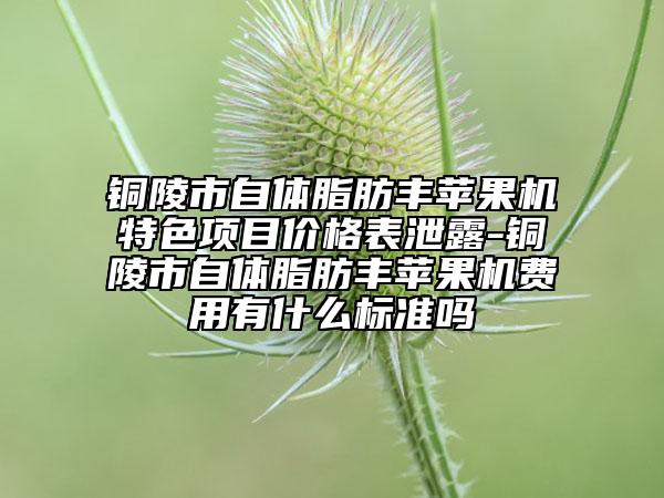 銅陵市自體脂肪豐蘋果機特色項目價格表泄露-銅陵市自體脂肪豐蘋果機費用有什么標準嗎