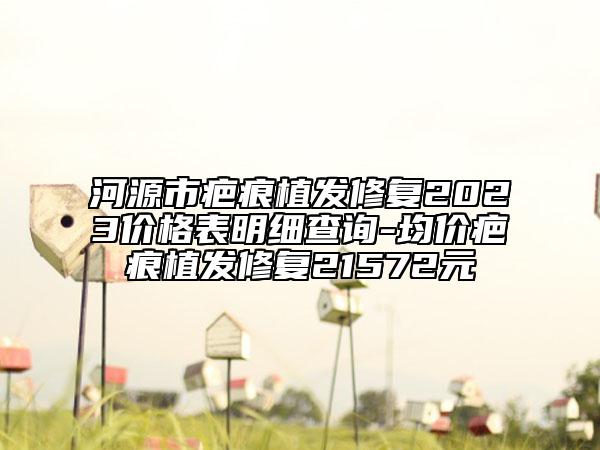 河源市疤痕植發(fā)修復(fù)2023價(jià)格表明細(xì)查詢-均價(jià)疤痕植發(fā)修復(fù)21572元