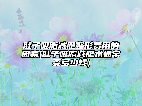肚子吸脂減肥整形費用的因素(肚子吸脂減肥術(shù)通常要多少錢)