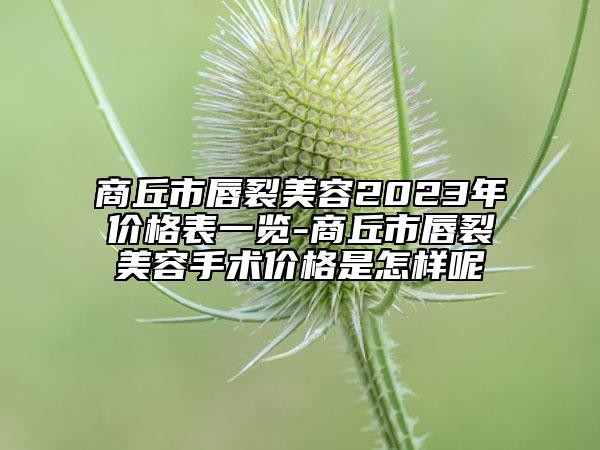 商丘市唇裂美容2023年價格表一覽-商丘市唇裂美容手術價格是怎樣呢