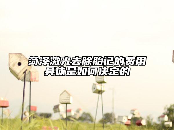 菏澤激光去除胎記的費(fèi)用具體是如何決定的