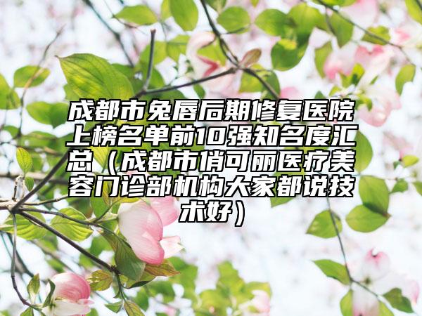 成都市兔唇后期修復(fù)醫(yī)院上榜名單前10強(qiáng)知名度匯總（成都市俏可麗醫(yī)療美容門診部機(jī)構(gòu)大家都說技術(shù)好）