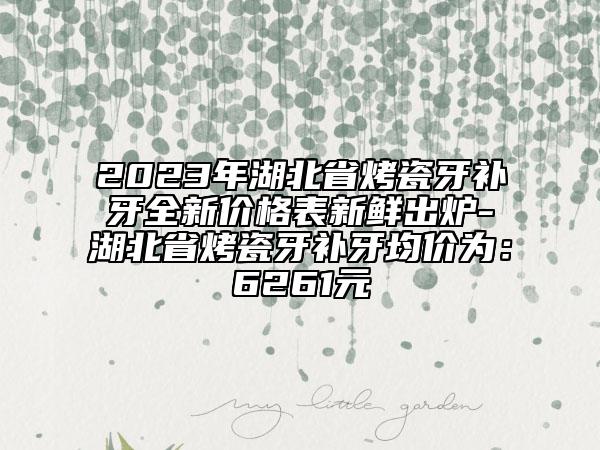 2023年湖北省烤瓷牙補牙全新價格表新鮮出爐-湖北省烤瓷牙補牙均價為：6261元